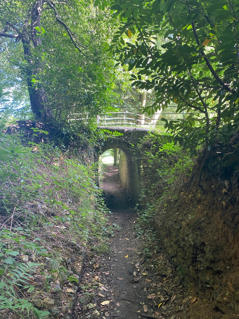 An old horseshoe shaped brick bridge in the woodland