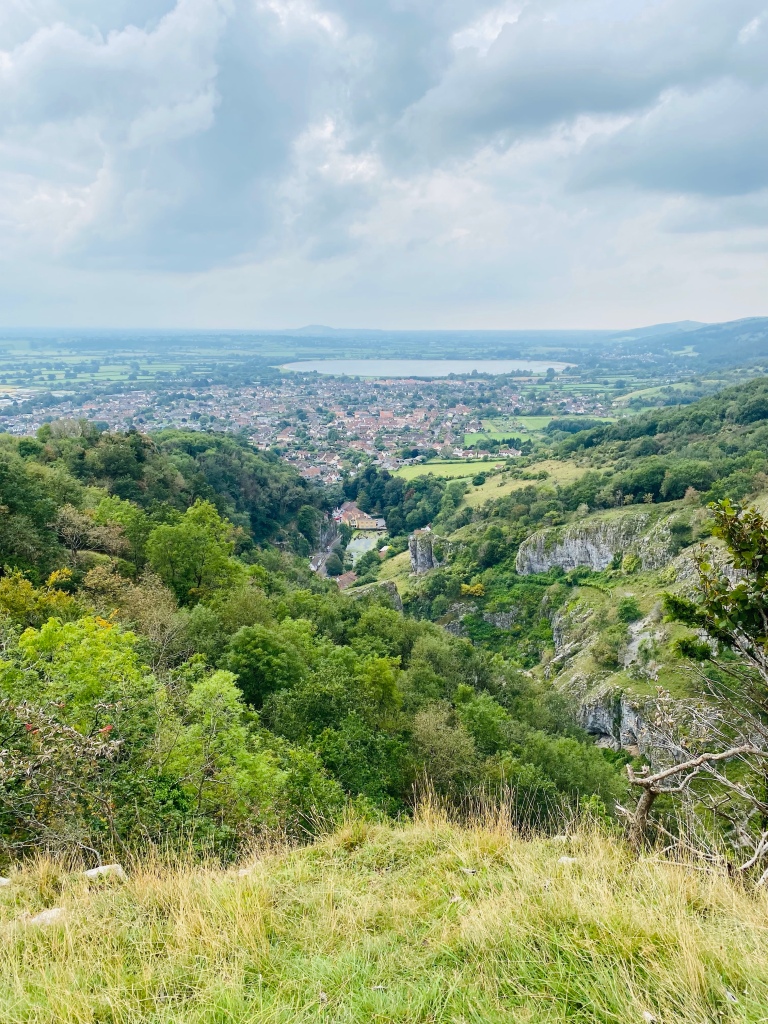 A view looking down into the gorge. Green woodland and grassland in the foreground. The village of Cheddar can be seen in the gorge